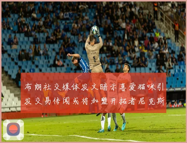 布朗社交媒体发文暗示喜爱猫咪引发交易传闻或将加盟开拓者尼克斯雷霆湖人