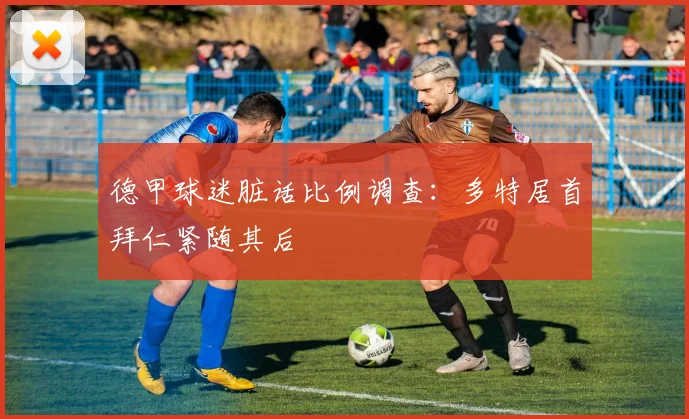 德甲球迷脏话比例调查:多特居首拜仁紧随其后