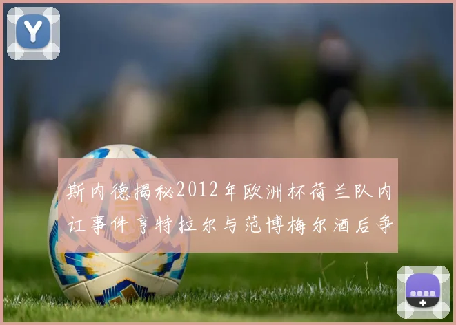 斯内德揭秘2012年欧洲杯荷兰队内讧事件亨特拉尔与范博梅尔酒后争执内幕