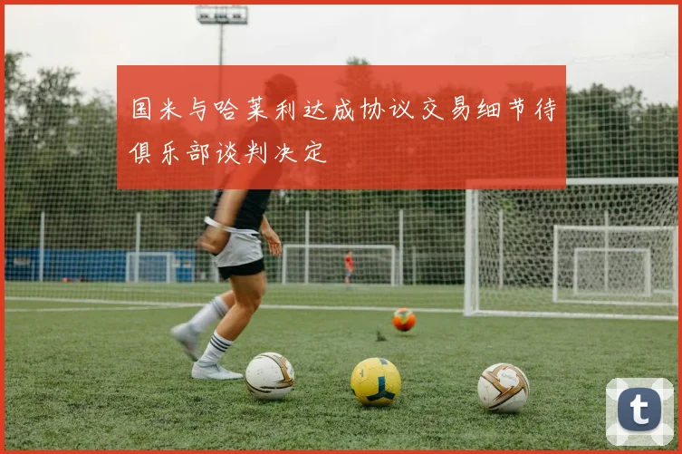 国米与哈莱利达成协议交易细节待俱乐部谈判决定